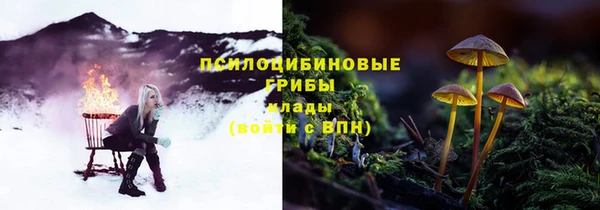 эйфоретик Строитель