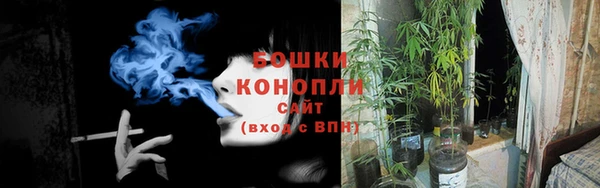 эйфоретик Строитель