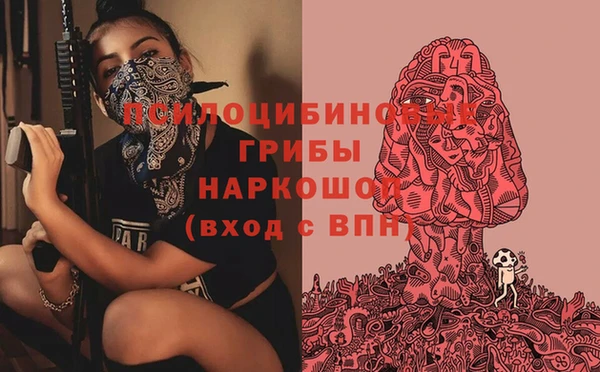 прущие крисы Струнино