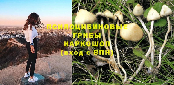 эйфоретик Строитель
