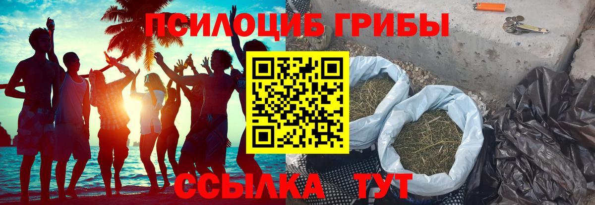 Галлюциногенные грибы мухоморы  Бердск  Галлюциногенные грибы GOLDEN TEACHER 