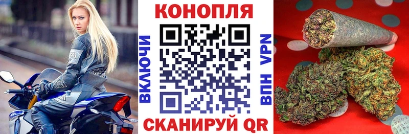 Канабис MAZAR  цены наркотик  Бердск 
