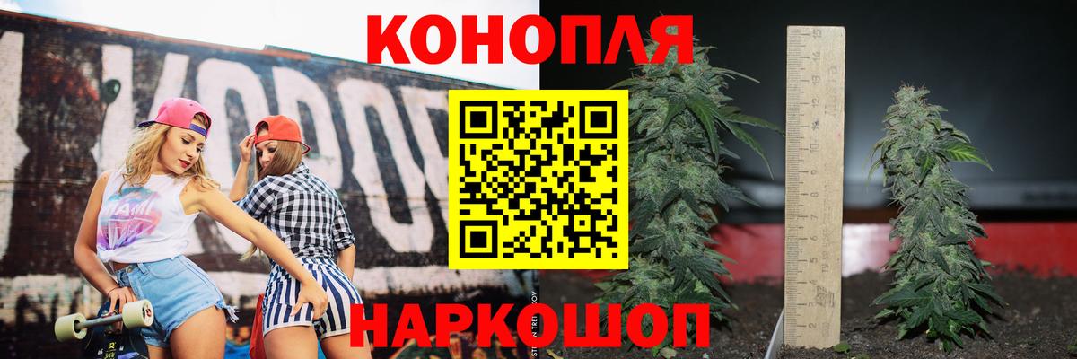 Канабис план Бердск